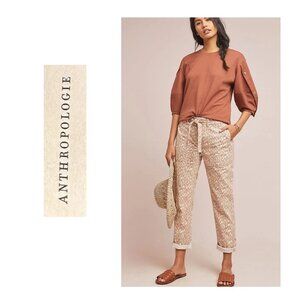 EUC Anthropologie Wanderer Utility Pants - 30